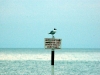 foto__lignano_2008_0356